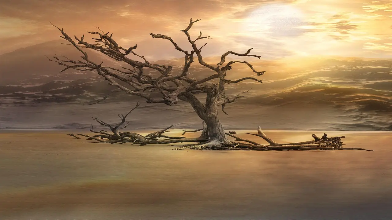 deserto